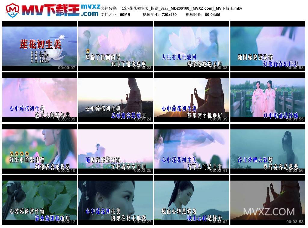 飞宏-莲花初生美_国语_流行_MD206168